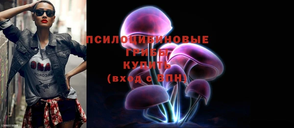 спиды Алзамай