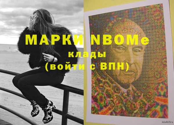 гашик Няндома