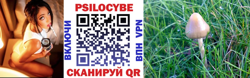 Псилоцибиновые грибы мухоморы  хочу наркоту  Юрьевец 